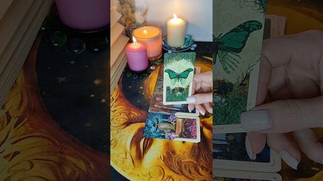 #тароселеной #тароотношения #тарогадание #тарорасклады #таро