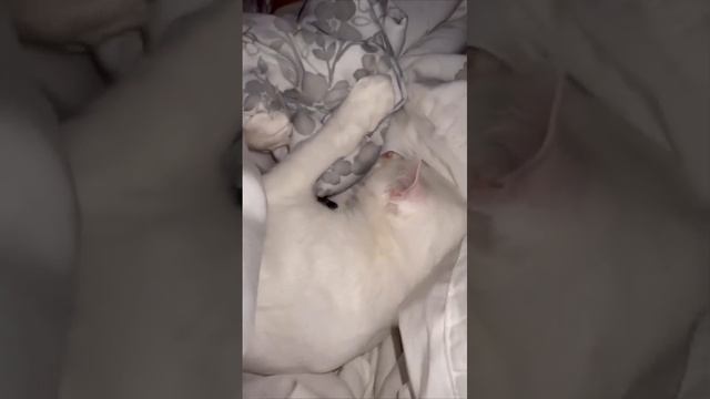 Я каждое утро про школой!!!