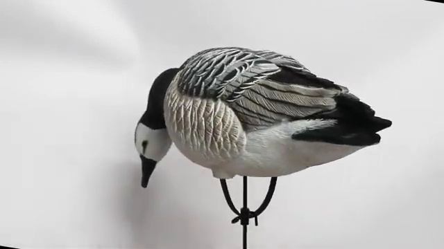 Duck Mania гусь Казарка DM-100503-2024