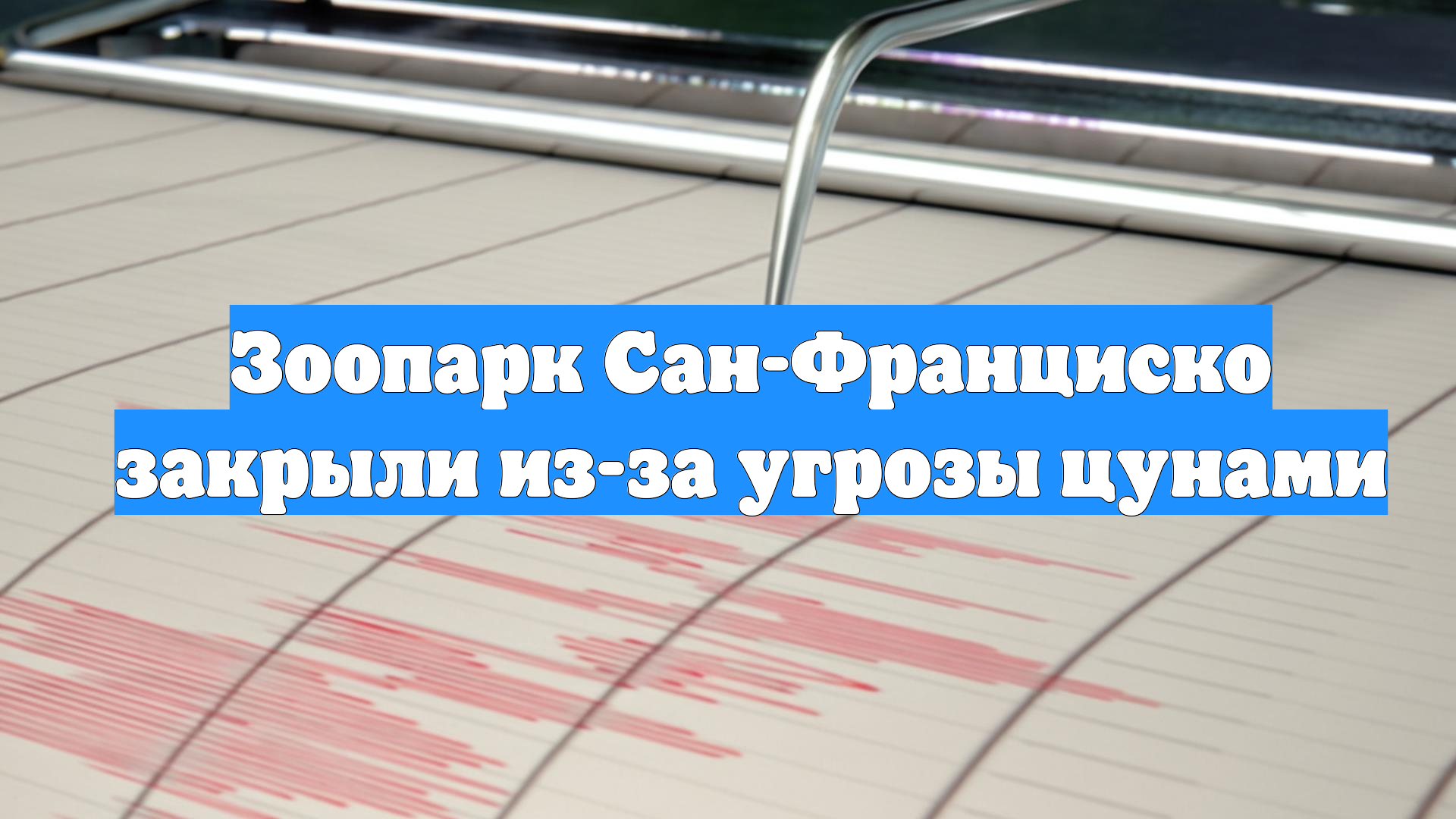 Зоопарк Сан-Франциско закрыли из-за угрозы цунами