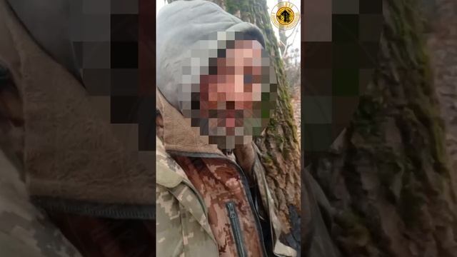 🔴Секачи-вредители пойманы с поличным в Курской области🔴ВЕРИМ?🔴