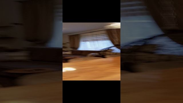 avirto49_06.12.mp4