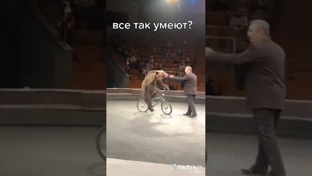 трюк Медведя