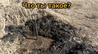 GARDENA не может,домкрат поможет...Металлокоп с ТХ 850