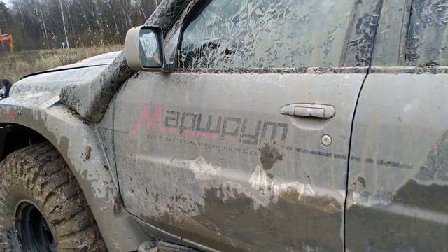Выгуливаю Серого