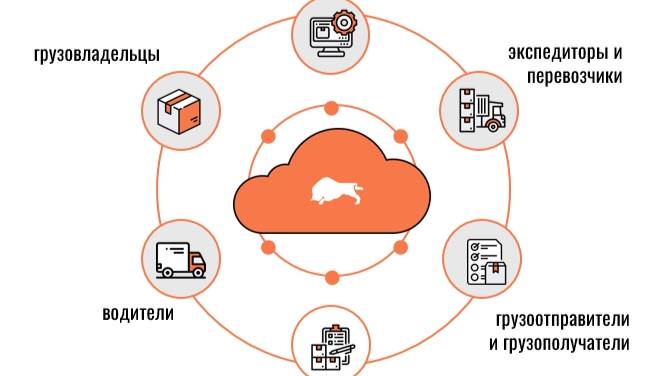 TMS система Везубр