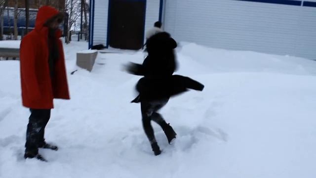СЮРПРИЗ_ОТ_ДРУЗЕЙ_НА_СВАДЬБУ___Ведущий_Александр_Ленин