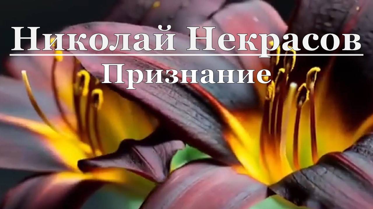 Николай Некрасов - Признание