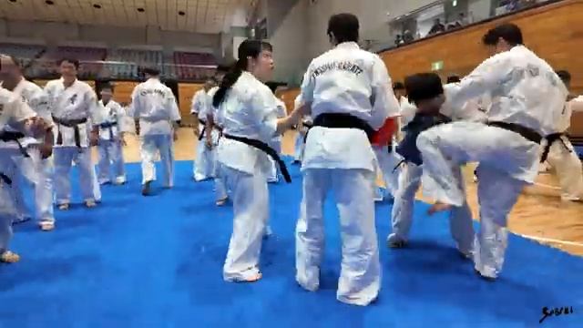 Kancho Joko Ninomiya Seminar 2024 Sabaki Challenge авто видео ( Enshin Karate HQ )