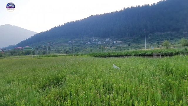 mini Switzerland of India Shangarh Sainj Valley
