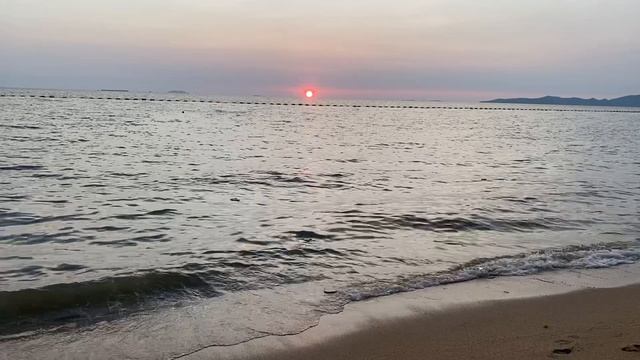 Паттая 15.11.2024