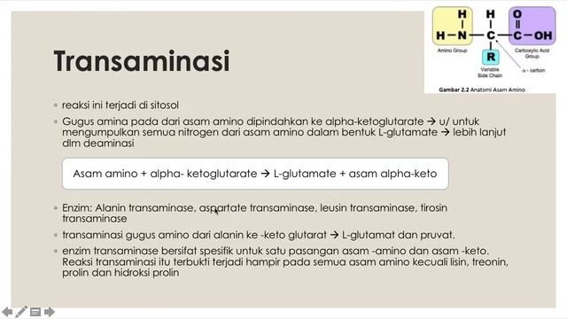Metabolisme Protein_BIOKIMIA S1 Farmasi