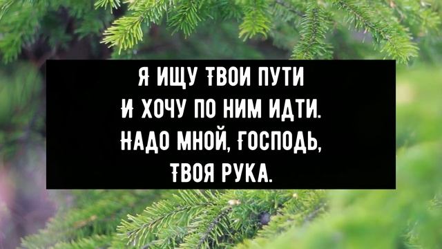 Просыпаюсь на заре - минус мой