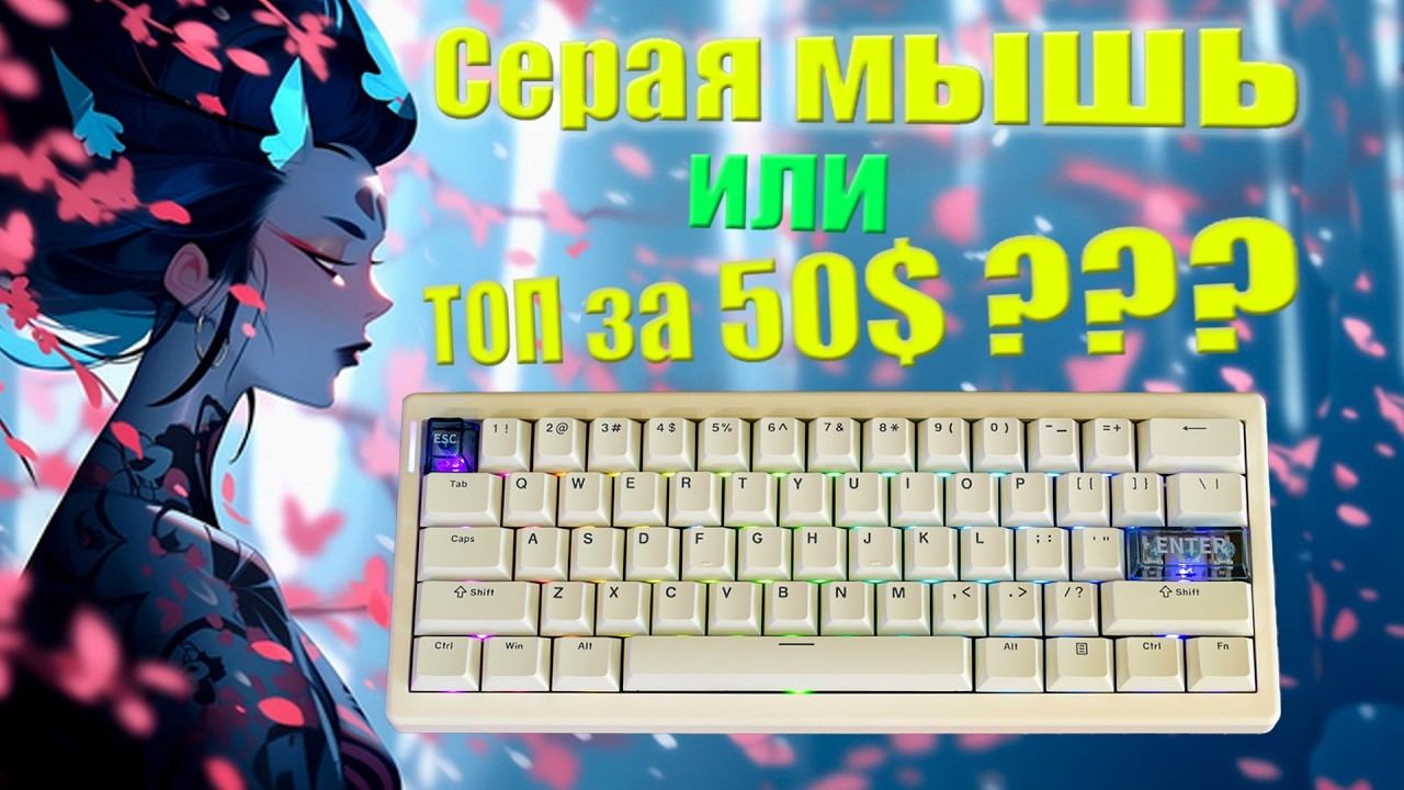 ГОДНОТА или  БЕДНОТА? Cidoo QK61 – Гаскет маунт, Свитчи Pearl White и VIA