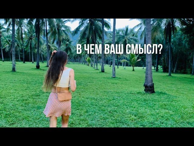 2 минуты о смысле нашей жизни
