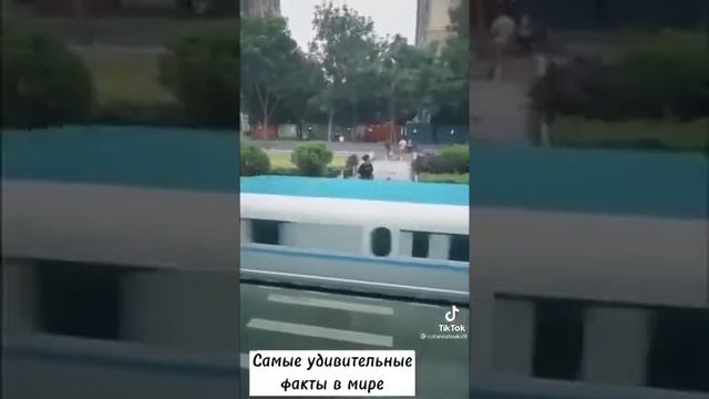 Самые удивительные вещи в мире