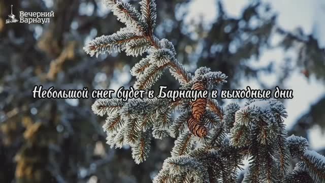 Небольшой снег будет в Барнауле в выходные дни