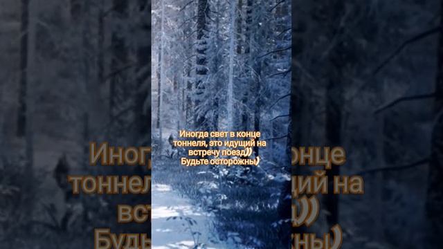 Бдительность