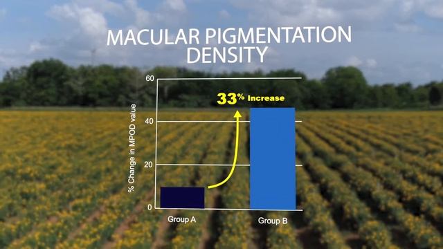 XanMax® - Clinically Studied Free Lutein-Zeaxanthin for Healthy Vision