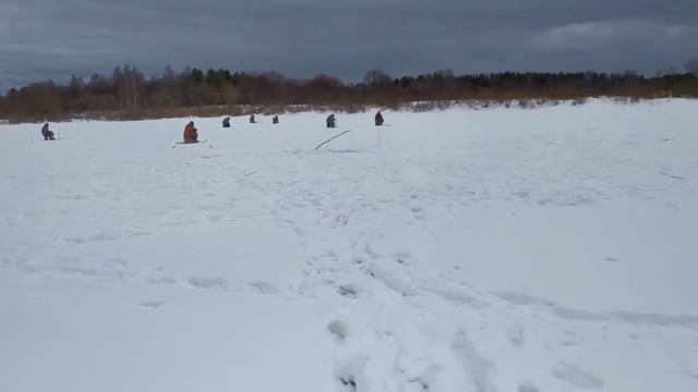 Рыбалка на Ветлуге. Первый выезд на налима.