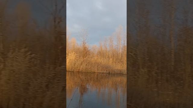 VID-20241206-WA0060