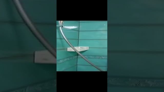 06-12-2024 Светлое Большей Шаде