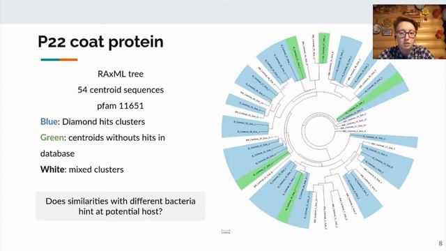 Black cat in a dark room: search for new viruses in metagenomes | Yulia Yakovleva | Biata`20