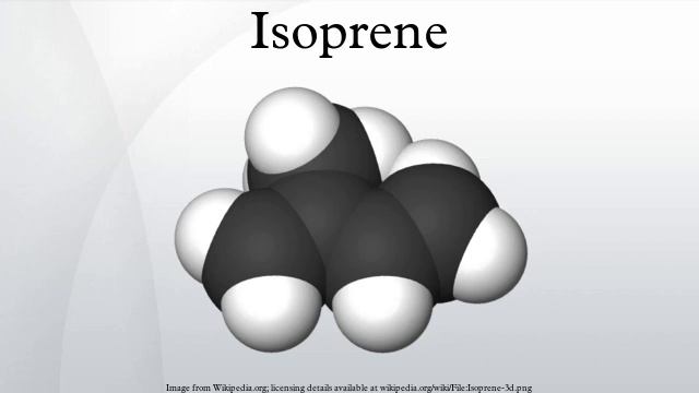Isoprene