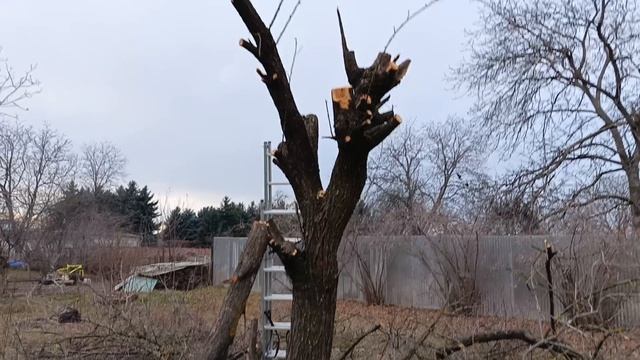 VID_20241205_151000