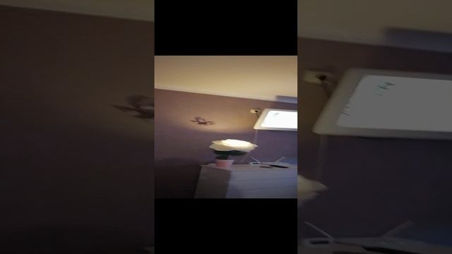 VID_20241206_121223.mp4