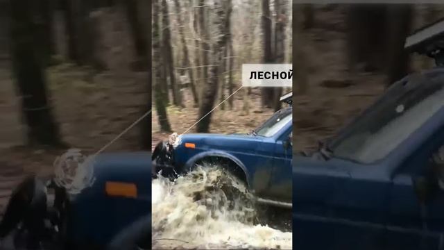 Лесной Кузнечик
#offroad #джипинг #нива