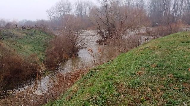 Ušće Ravanice u Veliku Moravu 05.12.2024