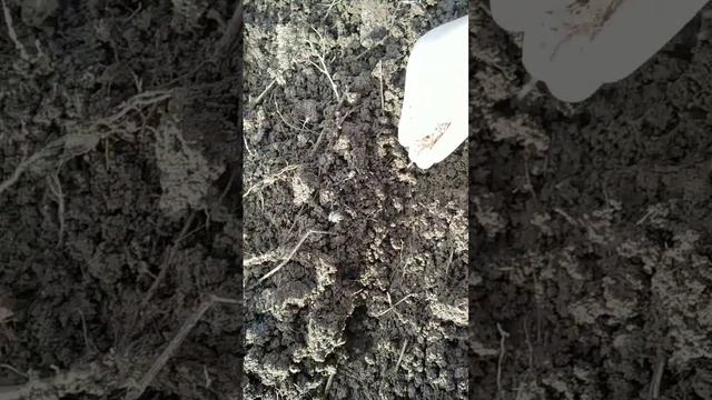 Чем мы занимались осенью/3 серия