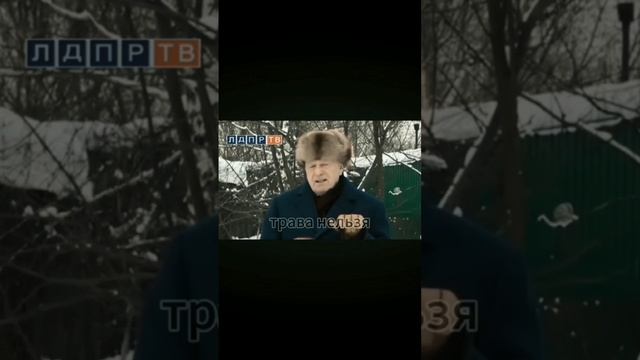 Жириновский