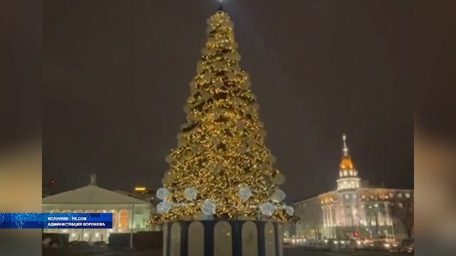В Воронеже завершены работы по сборке главной новогодней ёлки