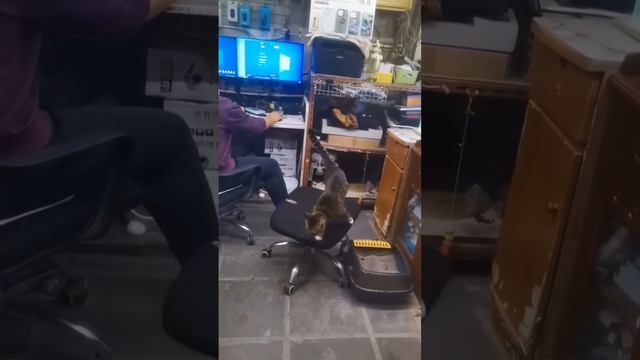 И снова ловушка Джокера