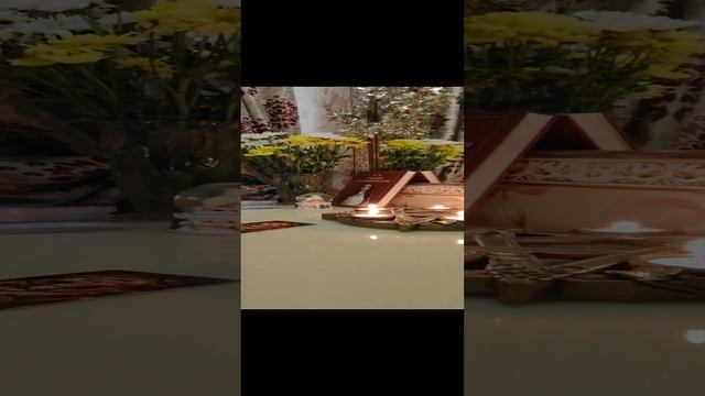 1000030935.mp4