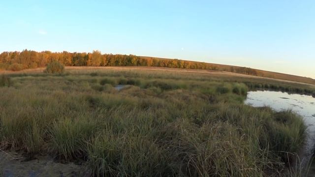 Охота на уток - Седина в бороду...