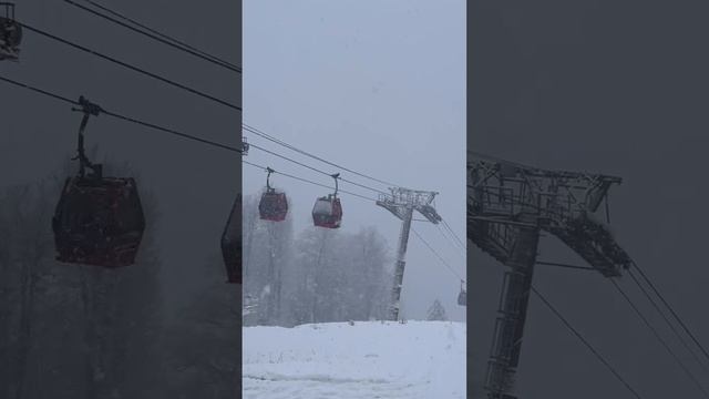 ☃️ Добрый снежный день!