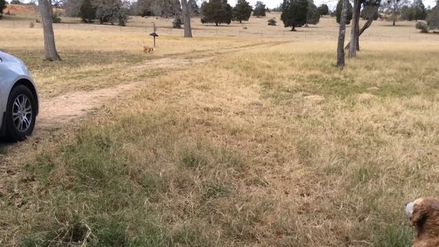 Zach land Mark 2-13-16