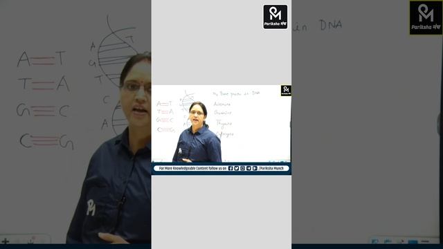 What are Nitrogen Base Pairs - in DNA ?