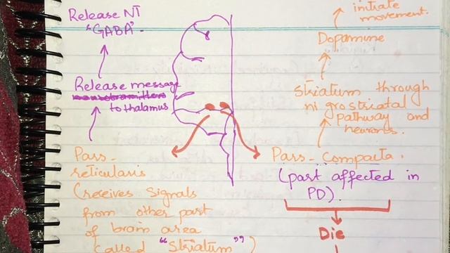 Parkinson’s Disease || Neurology
