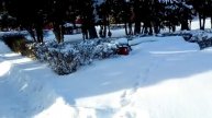 Село Дубовое год 2024