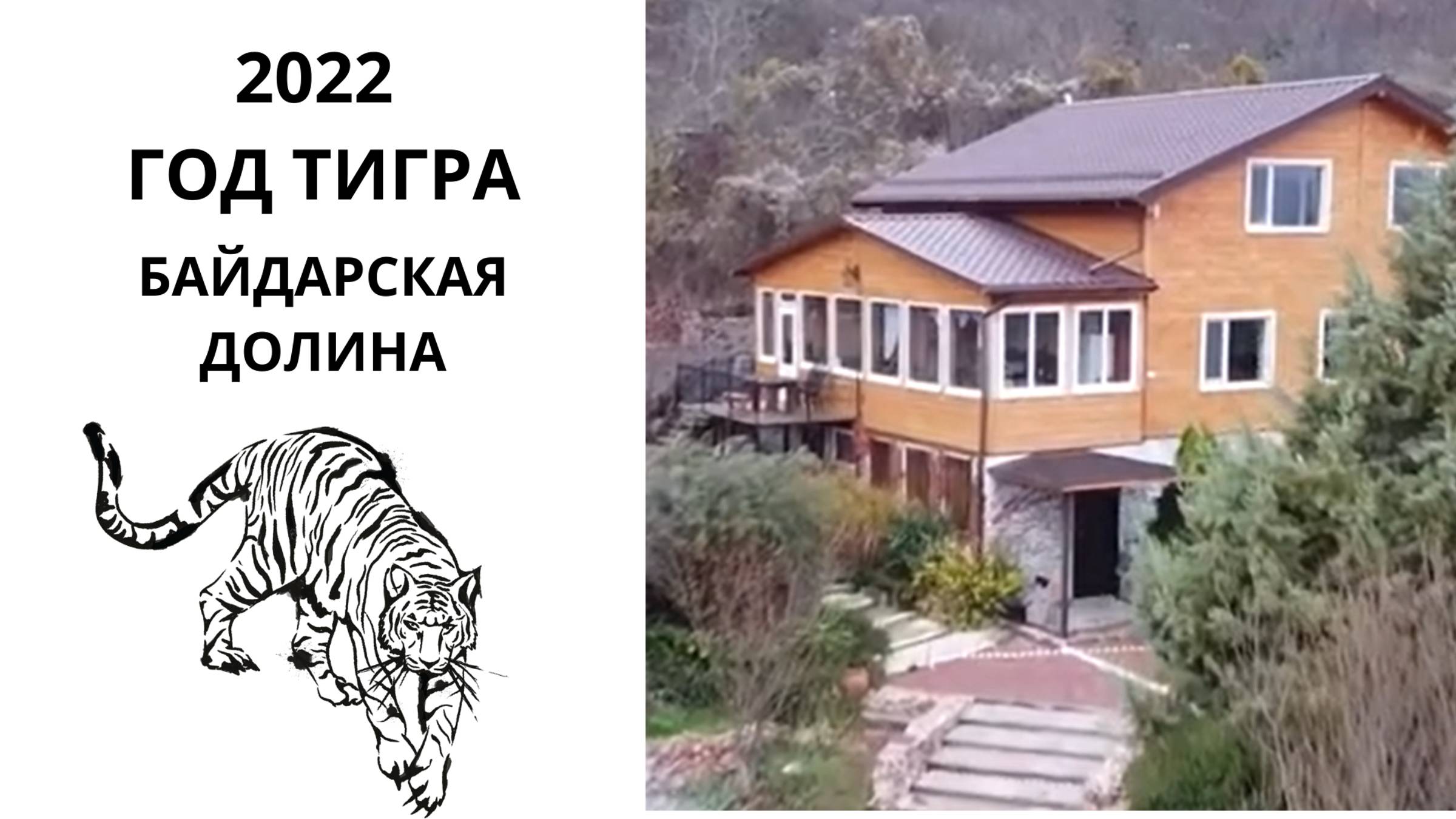 Квест _Найди тигра_ Новогодний корпоратив Деловой Клум _Амбассадор_ и Женский клуб _Сицилия_ 26 дек.