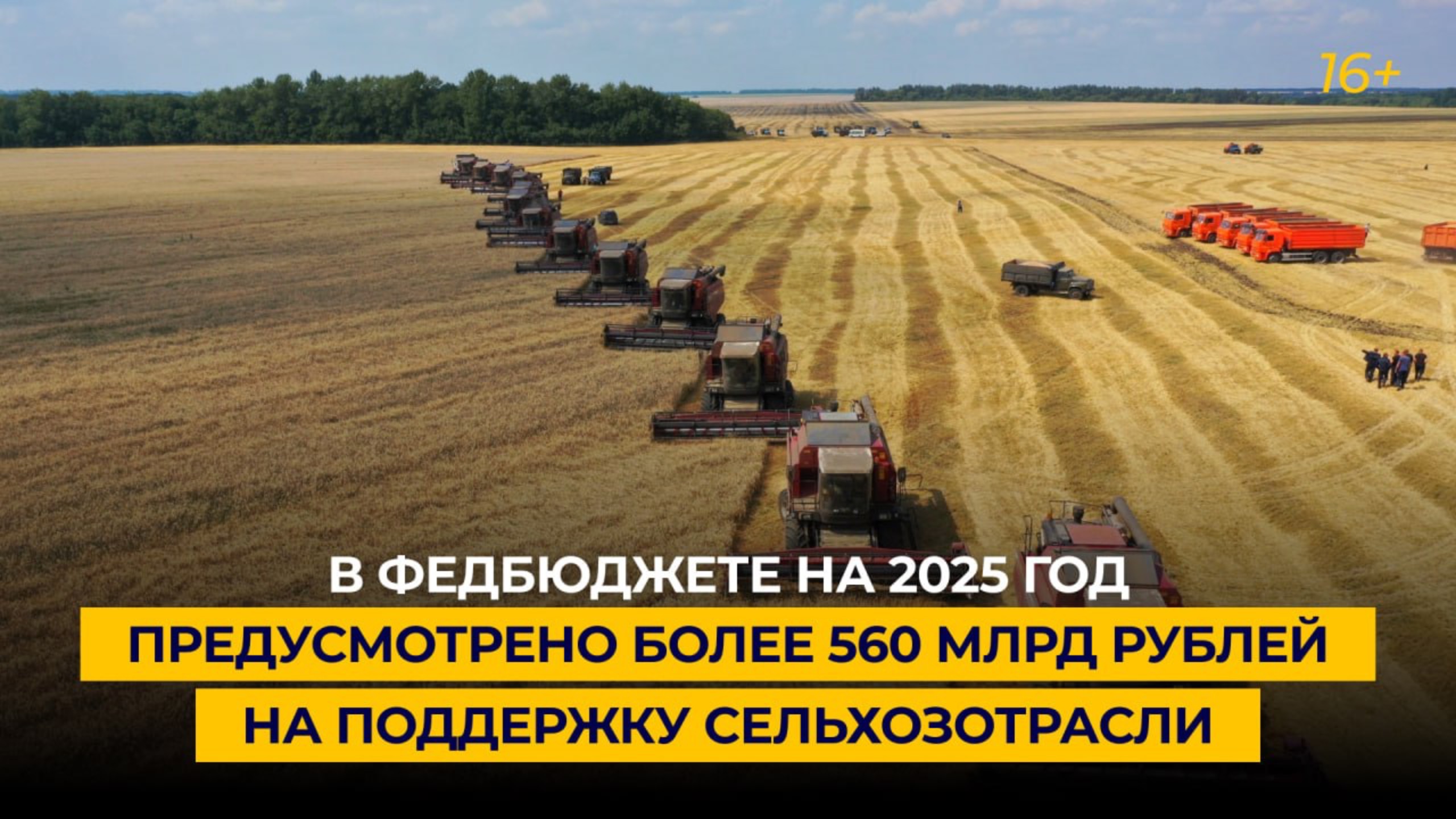 В федбюджете на 2025 год предусмотрено более 560 млрд рублей на поддержку сельхозотрасли