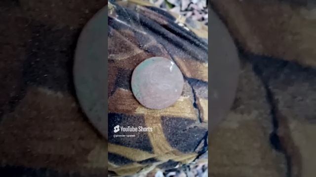Дождалась