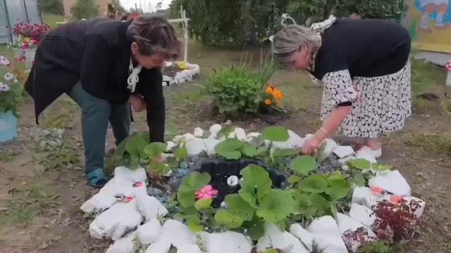 2024-видео