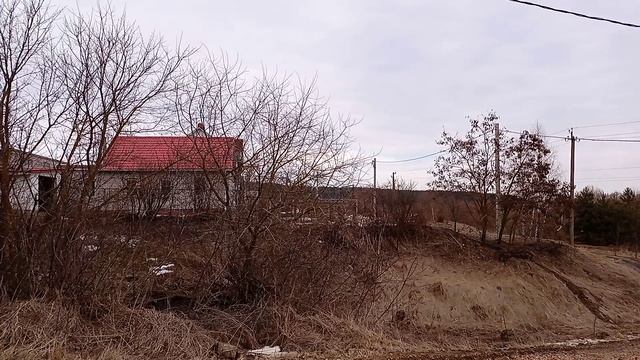 Разлив реки Оки в Альшани весной 2023 года