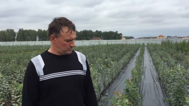 Омский садовод
