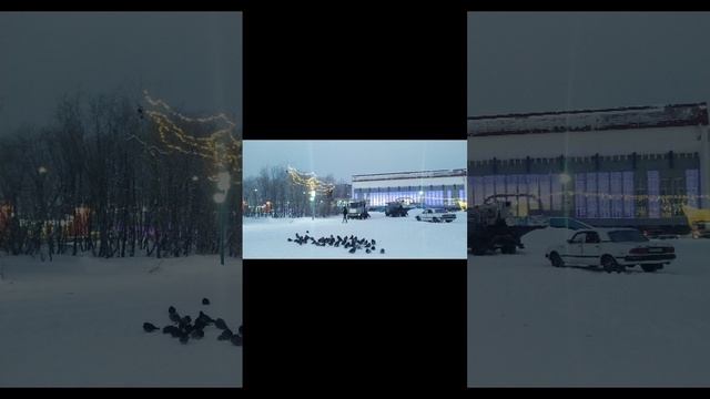 2024-12-05-190111600.mp4 Елена Дружиненко Воркута